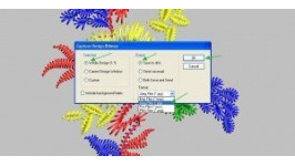 How to Capture Screenshot of Design in Wilcom Truesizer